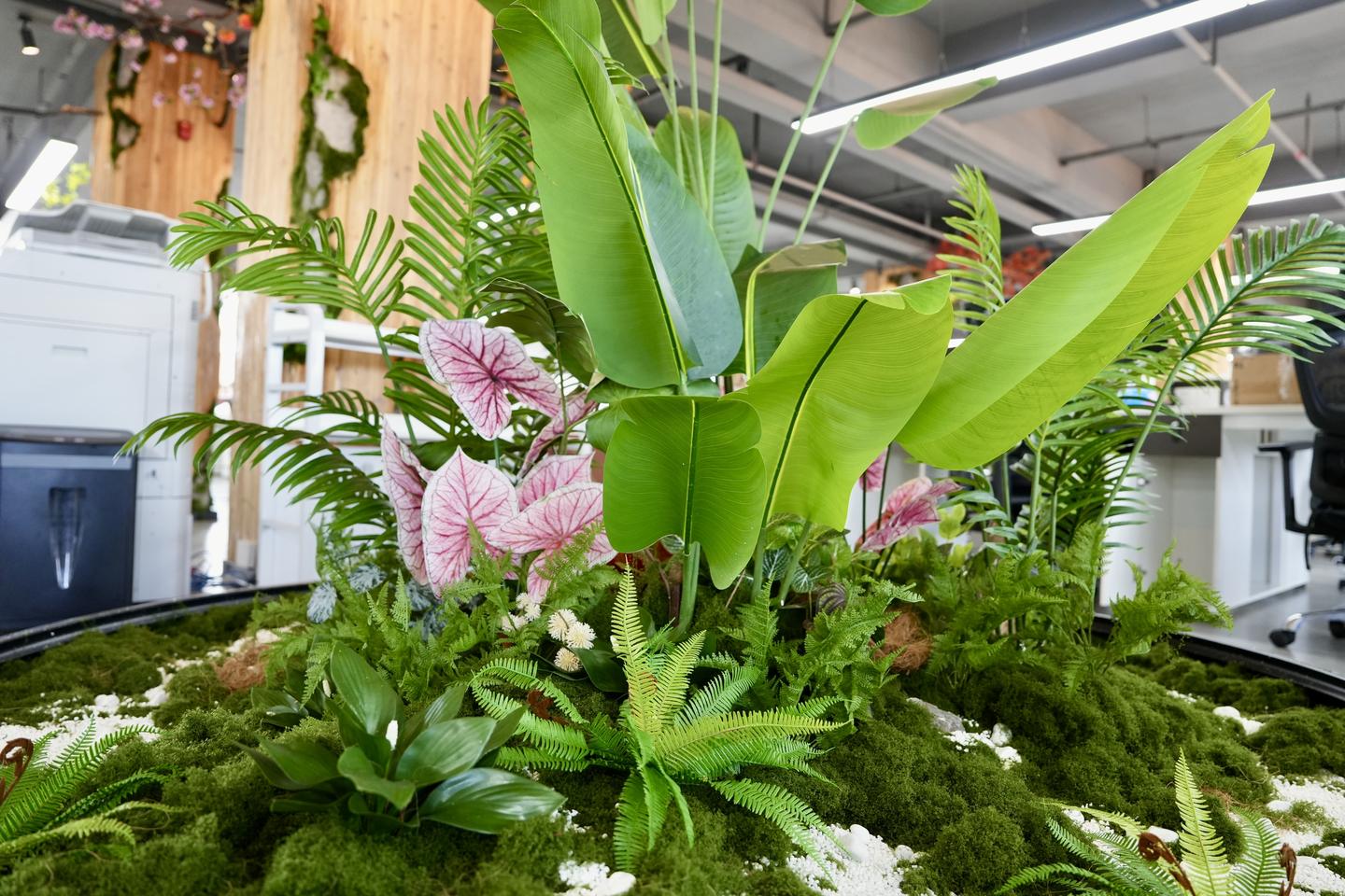 怿星科技桂林子公司乔迁新址,于山水画中开启研发新篇章(图10) 怿星科技桂林子公司乔迁新址,于山水画中开启研发新篇章(图10)